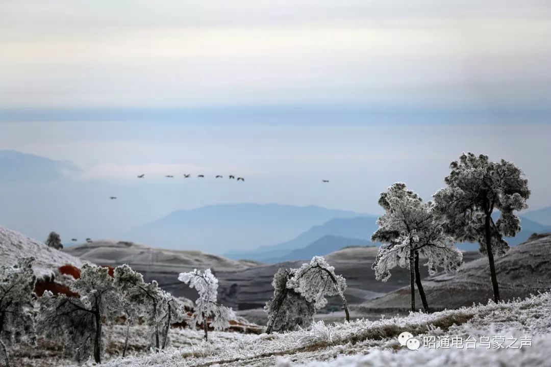 昭通大山包迎来19年冬第一场雪