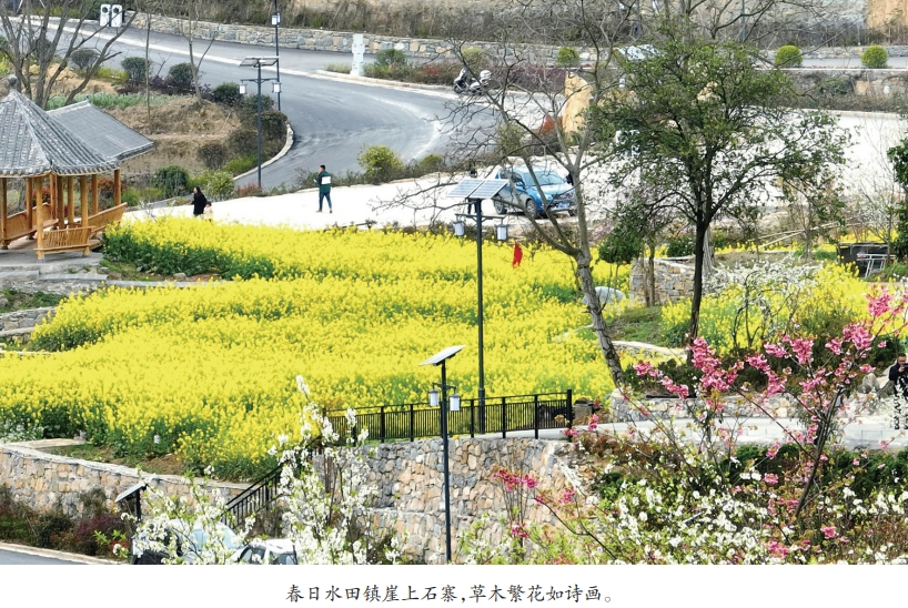 阅读昭通·经 济 | 绘就乡村振兴新图景 ——威信县学用“千万工程”经验侧记