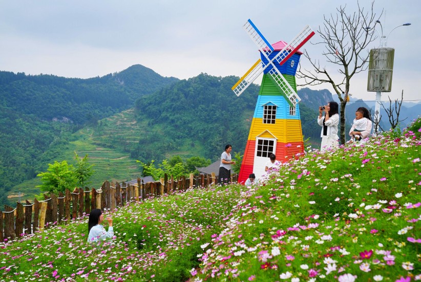 威信大屏上：格桑花海绘美景 红韵流淌促振兴