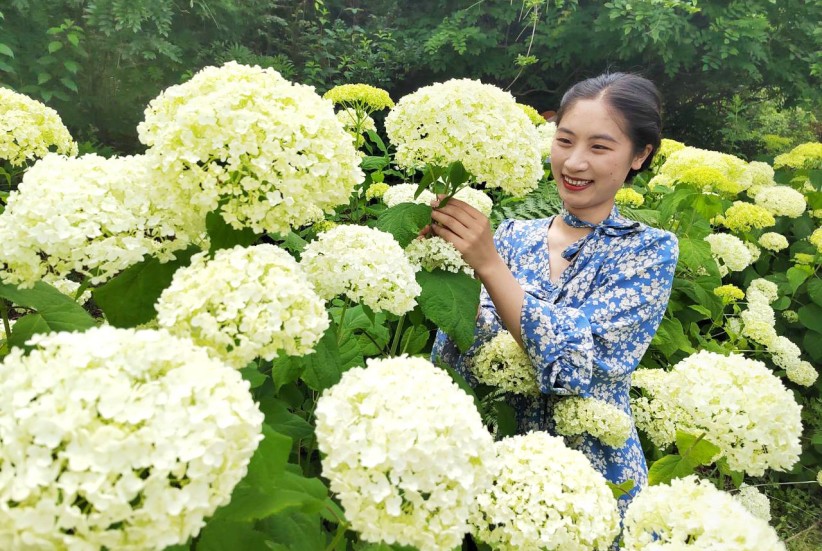 昭阳区白虎山花卉盆景主题庄园内游人如织