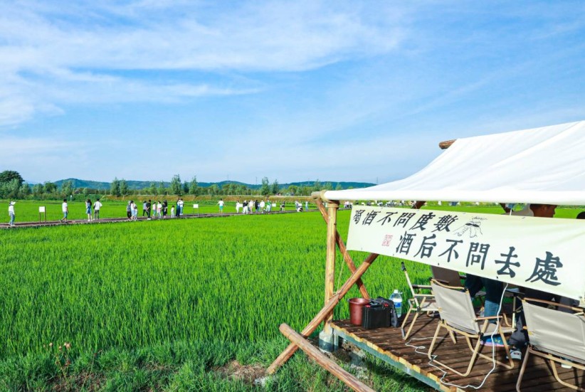 鲁甸以“避暑经济”解锁搬迁群众共富密码