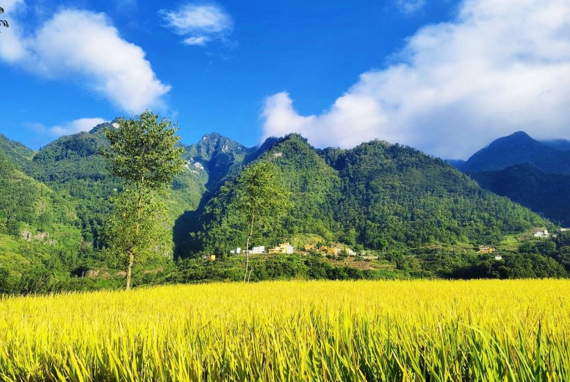 昭通永善：梯田秋景丰收美