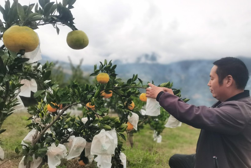 明子村打造观光休闲旅游精品