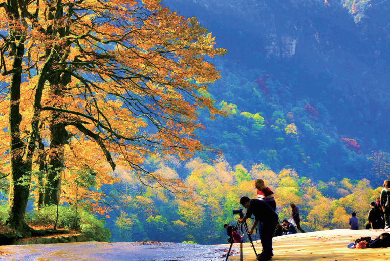 假日生活 | 初冬小草坝—— 漫山枫叶红似火，碧水清溪映画中