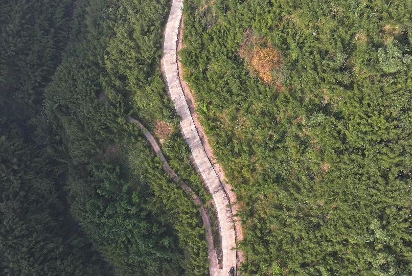 盐津无人机解锁竹材运输新通道